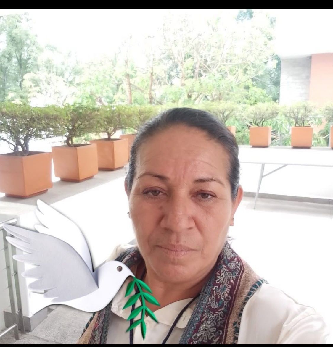 Verónica Castro